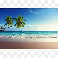 美丽海滩椰树风景图片
