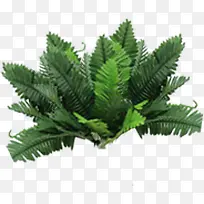 热带唯美植物婚礼
