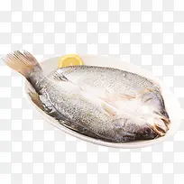 盐鲜鲈鱼海鲜鱼类水产