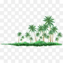 热带植物 椰子树