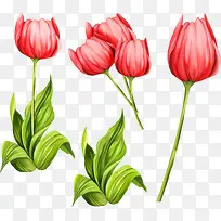 粉色手绘小花