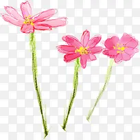 手绘粉色花卉个性主题