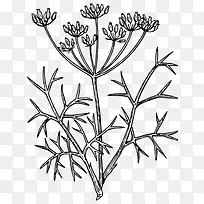 植物矢量图