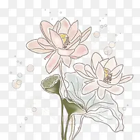 手绘莲花