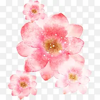 手绘粉色花卉意境封面