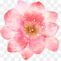 手绘粉色花卉意境展板