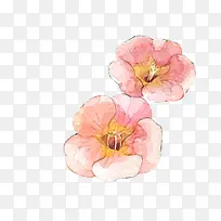 盛开粉色花卉手绘海报背景