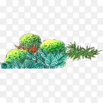 绘画园林植物艺术题材