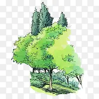 绘画绿化树园林景观