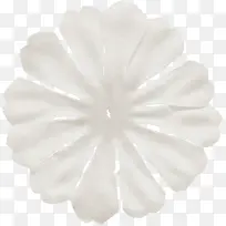 白花