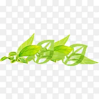 手绘清新植物插画