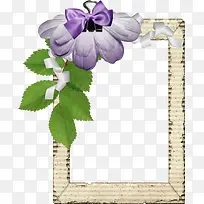 紫花边框
