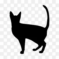 万圣节黑猫 icon