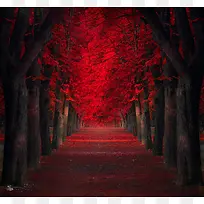 红色色彩自然风景图
