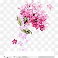 水彩花卉海报素材