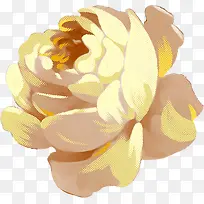 黄色水彩花卉图片