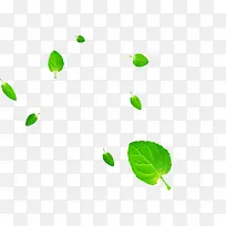 绿色卡通漂浮设计树叶