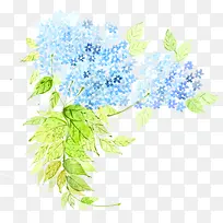 手绘蓝色复古小花装饰