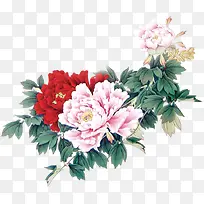 高清复古手绘彩绘海棠花