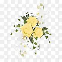 手绘黄色的花 白色的花 PNG