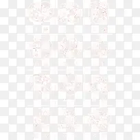 十二生肖