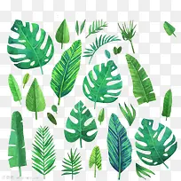 绿色植物叶子装饰图标