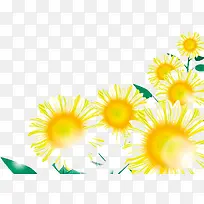 向日葵 植物  插画 素材1
