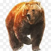 免扣 png 素材 手绘 可爱 动物 熊