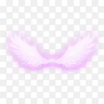 紫色梦幻翅膀