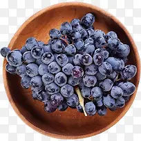 蓝莓蓝莓蓝莓