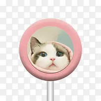 粉色糖果猫咪
