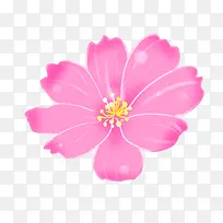玫粉色大花朵