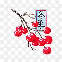 手绘红果果树枝装饰图