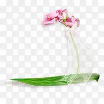 粉色花朵绿叶