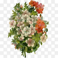 彩绘花朵绿叶