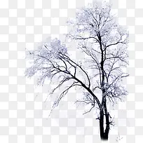 高清创意环境渲染效果树木合成