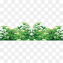 高清摄影环境渲染效果绿色植物