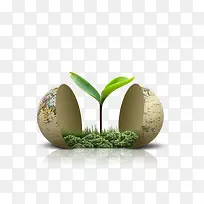 地球植物