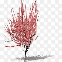 红色小花雪后树枝