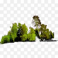 高清创意环境渲染效果树木树林