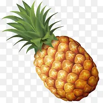 菠萝 手绘 卡通 水果