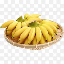 芭蕉 香蕉 水果