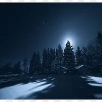 雪下月亮绿色大树