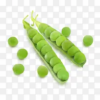 手绘植物蔬菜豆角元素