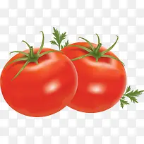 沾水的西红柿2
