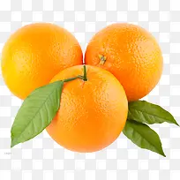 三个新鲜的橙子