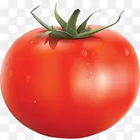 大个红色西红柿