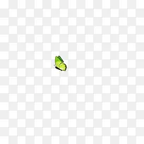 蝴蝶
