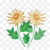 免扣唯美菊花元素盛开