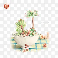 植物